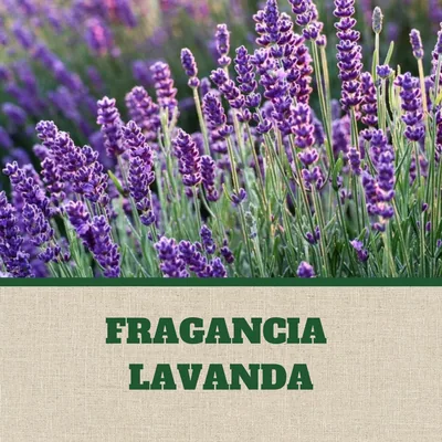 Polil Gancho perfumado lavanda 4 ganchos – foto 1