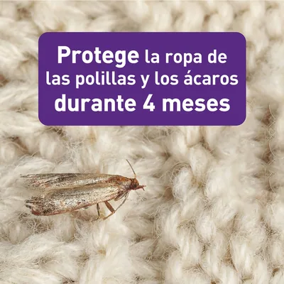 Orion Bolsas Antipolillas Perfumadoras Armario/Cajones Aroma Lavanda - pack de 4 unidades – foto 4