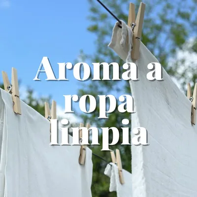 Orion Bolsas antipolillas sin naftalina aroma a ropa limpia 20 bolsas – foto 1